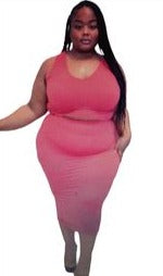 2 Piece Skirt Set